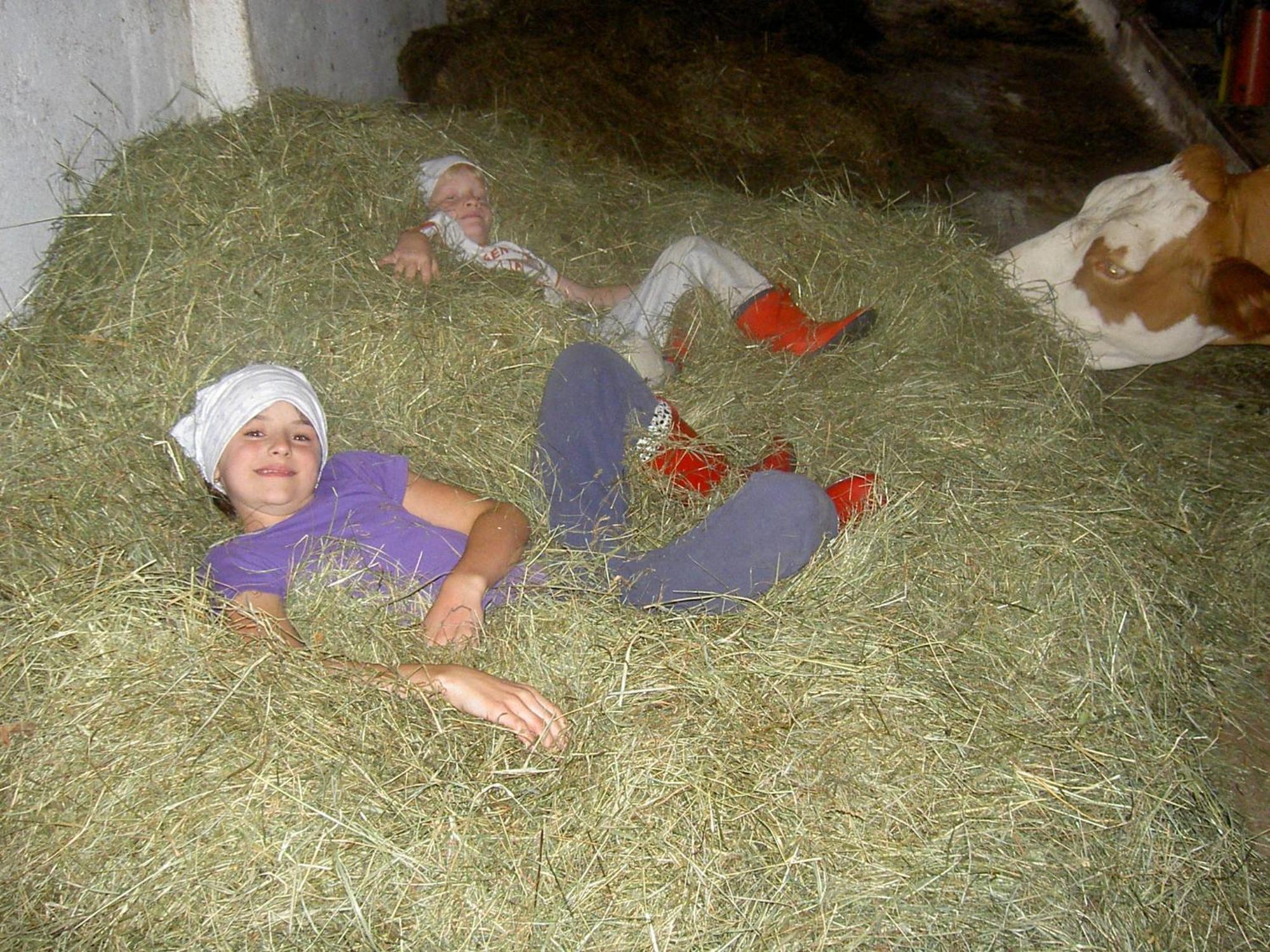 Villa Urlaub Am Bauernhof Wenigeder - Familie Klopf Gutau Esterno foto